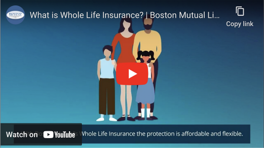 what is whole life insurance youtube video